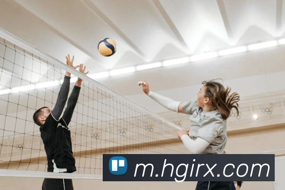 对战数据统计